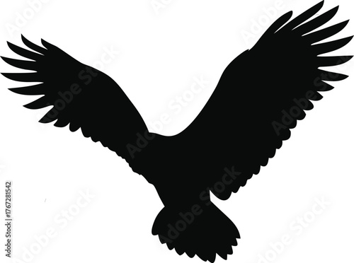 Landing Eagle Silhouette – Powerful Bird of Prey Vector Illustration