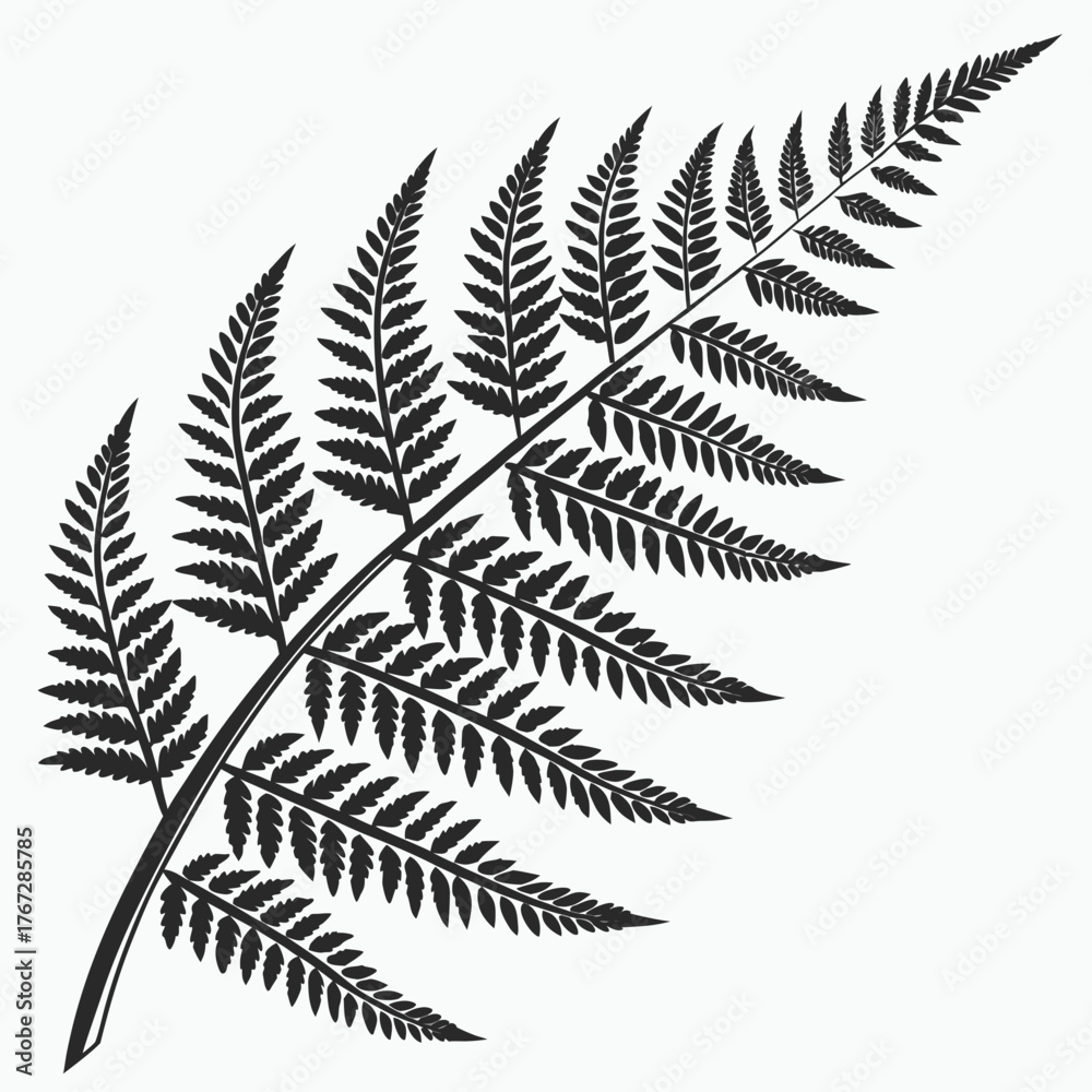 Naklejka premium fern leaf isolated on white