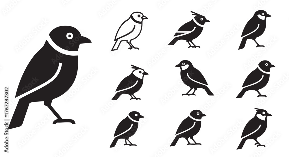 Fototapeta premium Black and white bird vector illustration featuring a flock birds