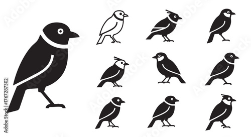 Black and white bird vector illustration featuring a flock birds