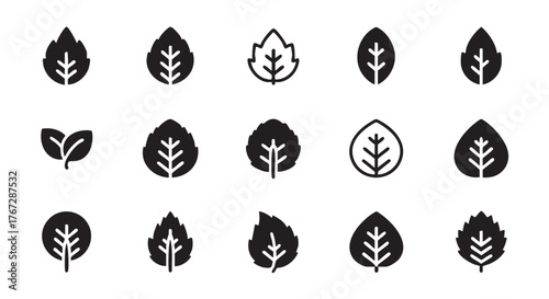 Black and white minimal leaf icon set nature and ecology concept