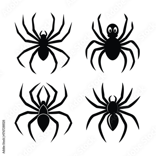 spider on a white background