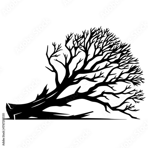 Silhouette of a fallen tree