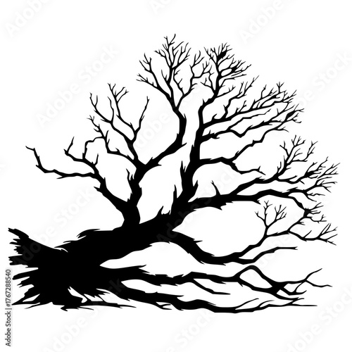 Silhouette of a fallen tree