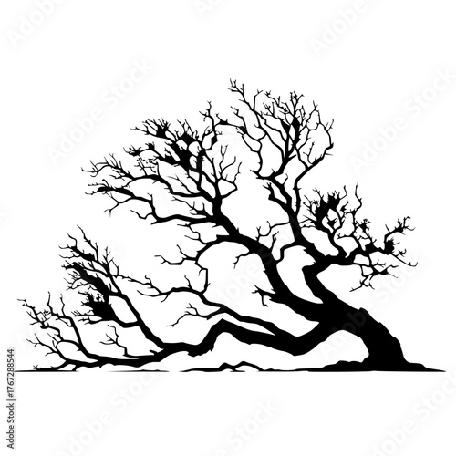 Silhouette of a fallen tree