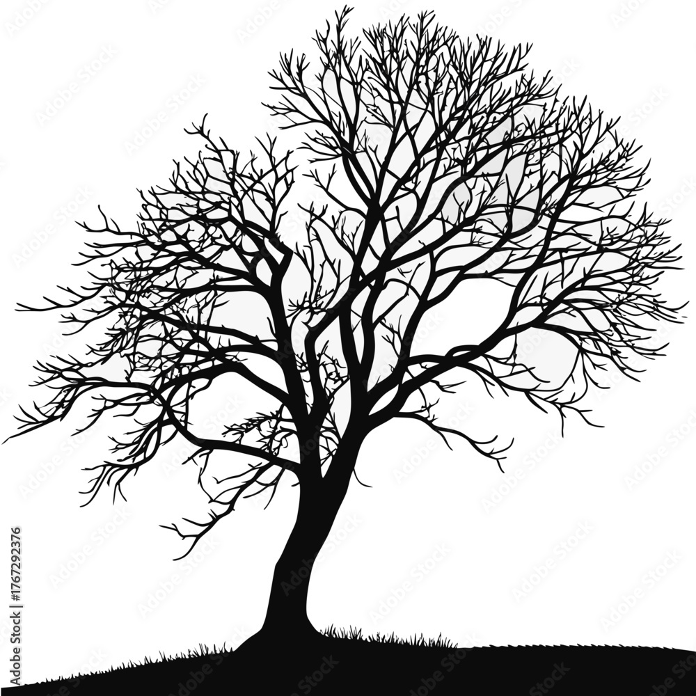 Obraz premium vector tree silhouette