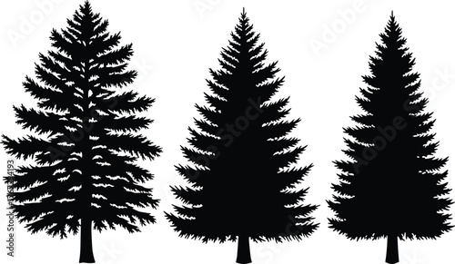 Set of pine tree silhouettes isolated on white background, detailed evergreen conifer trees, black forest elements for winter and nature design