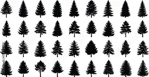 Collection of pine tree silhouettes, evergreen forest vector set, natural woodland design for landscape illustration, nature and environment concept art