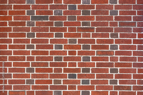 Halloween holiday paraphernalia and decorations for outdoor and backyard celebrations.