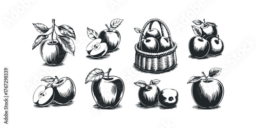 Collection of Woodcut Style Apples and Fruit Basket