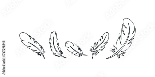 Minimalist outline drawing of falling feathers