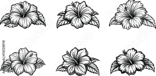 Set of six intricately detailed hibiscus flower illustrations in black and white