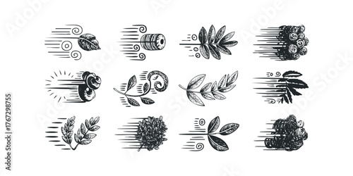 Hand Drawn Organic Elements Flowing with Wind Lines
