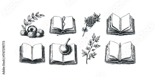 Sketch style open books and botanical elements