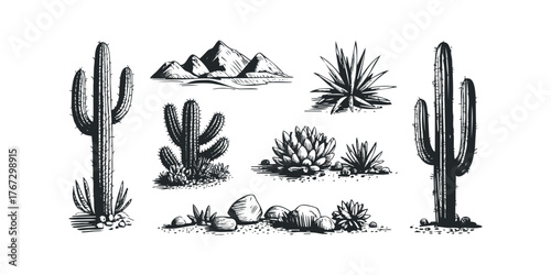 Collection of desert plants and arid landscape elements