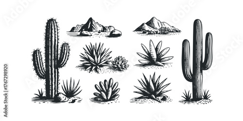 Sketch collection of desert flora and mountains
