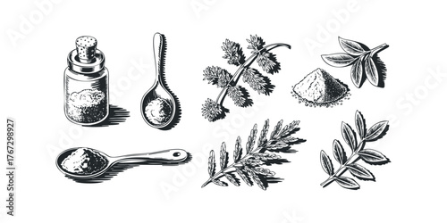 Herbal remedies and medicinal plant collection