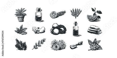 Collection of botanical elements and glass bottles