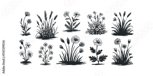 Collection of Hand Drawn Meadow Plants and Flowers Silhouette