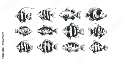 Collection of black and white hand drawn fish