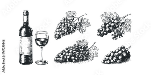 Pen and ink drawing of wine bottle, glass, and grapes