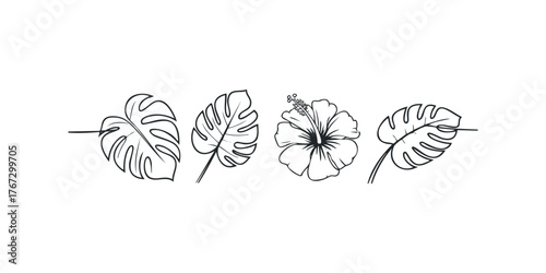 Line art of Monstera leaves and a hibiscus flower