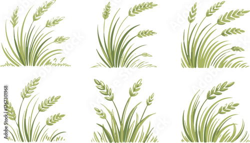 Vector art of collection of wheatgrass illustrations for design