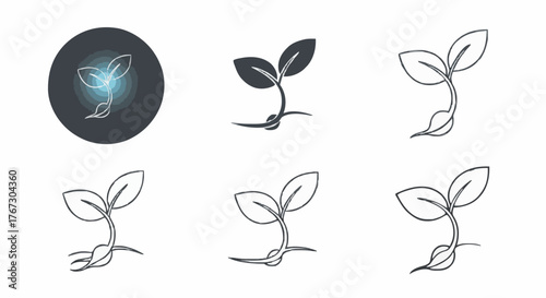 Seedling growth icons