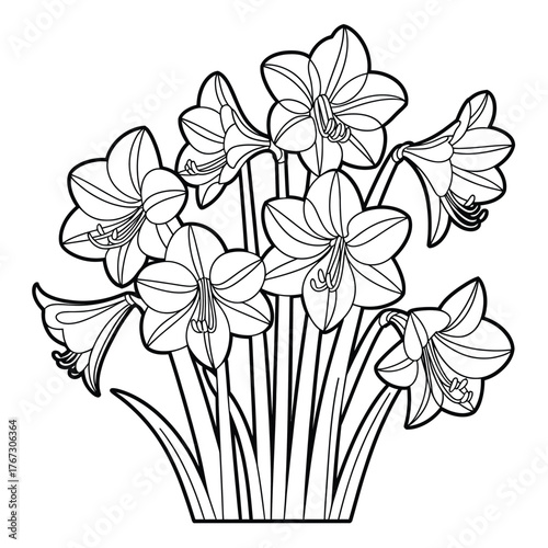 Scalable vector illustration of amaryllis flowers coloring page ideal for eps graphic design projects silhouette