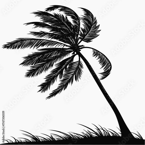 palm tree silhouette