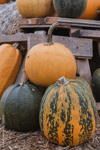 pumpkins on a wooden table