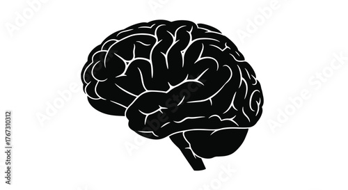 Human Brain Silhouette Illustration on White Background.