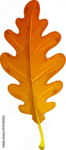 Cartoon yellow oak vector leaf, autumn season. Red and yellow oaken tree leaves with veins. Fall lobed oak plant foliage for child craft