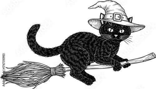 a black cat riding a broom, wearing a witch hat