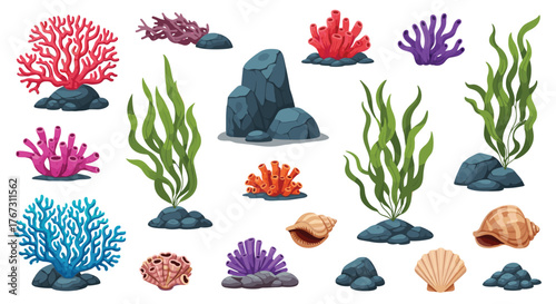 Vibrant collection of underwater marine life elements featuring colorful corals, green seaweed, diverse rocks, and seashells, on a white background.