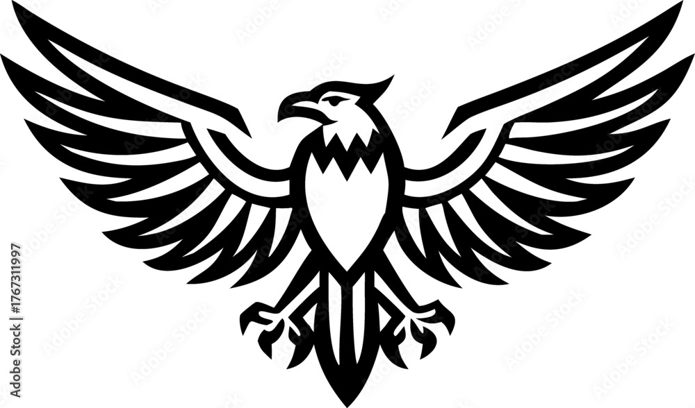 Obraz premium eagle with wings