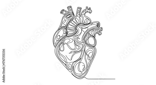 Artistic single-line drawing of a human heart, showcasing the organ's intricate form and structure in a minimalist style.