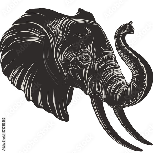 Detailed elephant head illustration in black and white against white background