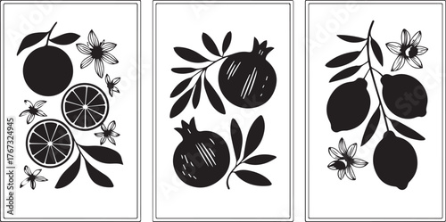 Vector art of set of three botanical prints featuring citrus fruits