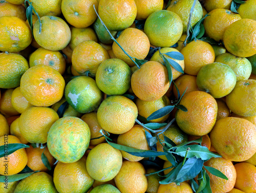 Vibrant display of fresh oranges with green leaves at a bustling market in the afternoon sun