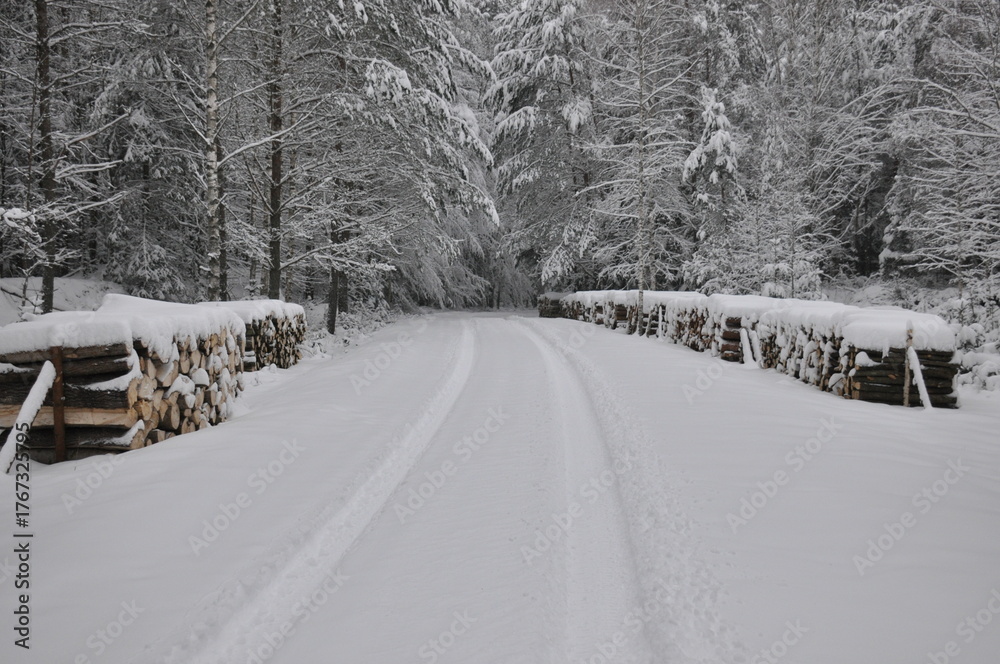 Fototapeta premium Snow-covered road lined with stacked logs in a serene winter landscape in the forest