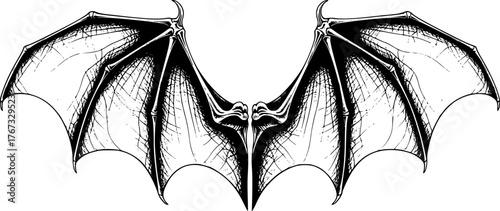 bat wings Halloween sketch
