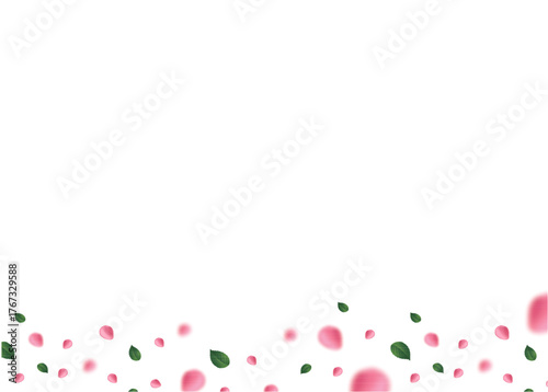 pink rose flower petal.eps