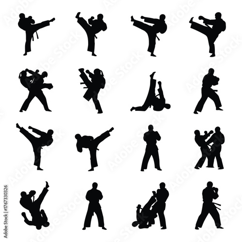 Collection of Martial Arts Silhouettes on White Background Sport Concept