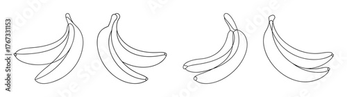Four banana bunches line art sketch drawings in various orientations for graphic design projects