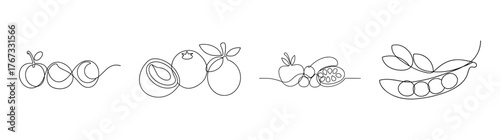 Conceptual sketch of food components representing nutrition and health