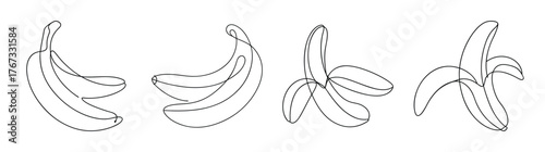 Hand drawn sketchy bananas a bunch and partially peeled tropical fruit