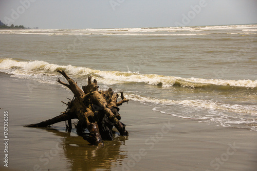 waves on the beach