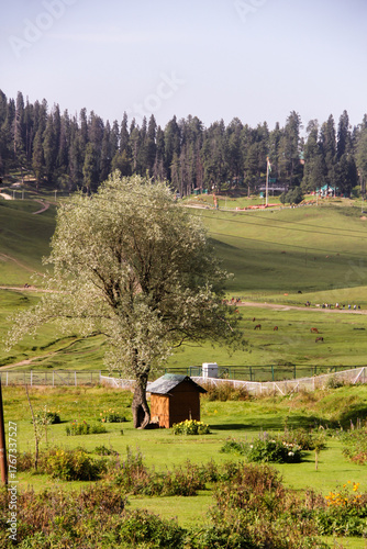 landscape in the mountains