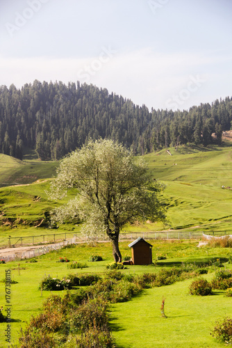 rural landscape with house